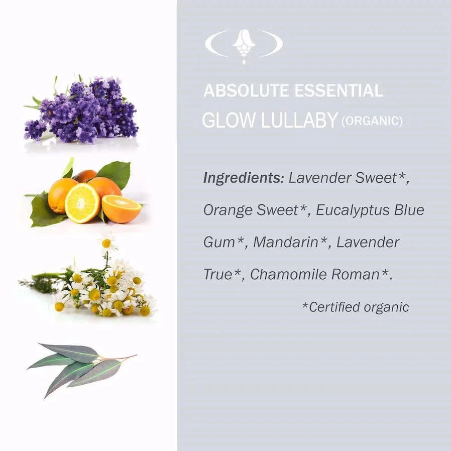 Glow Lullaby Organic Essential Oil 2 Glow Lullaby Organic Essential Oil - Image 2