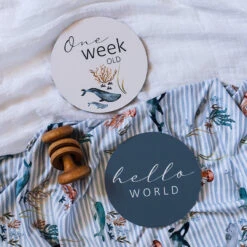 Milestone Cards - Whale & Azure -METRO BABY SHOP 120000022 1