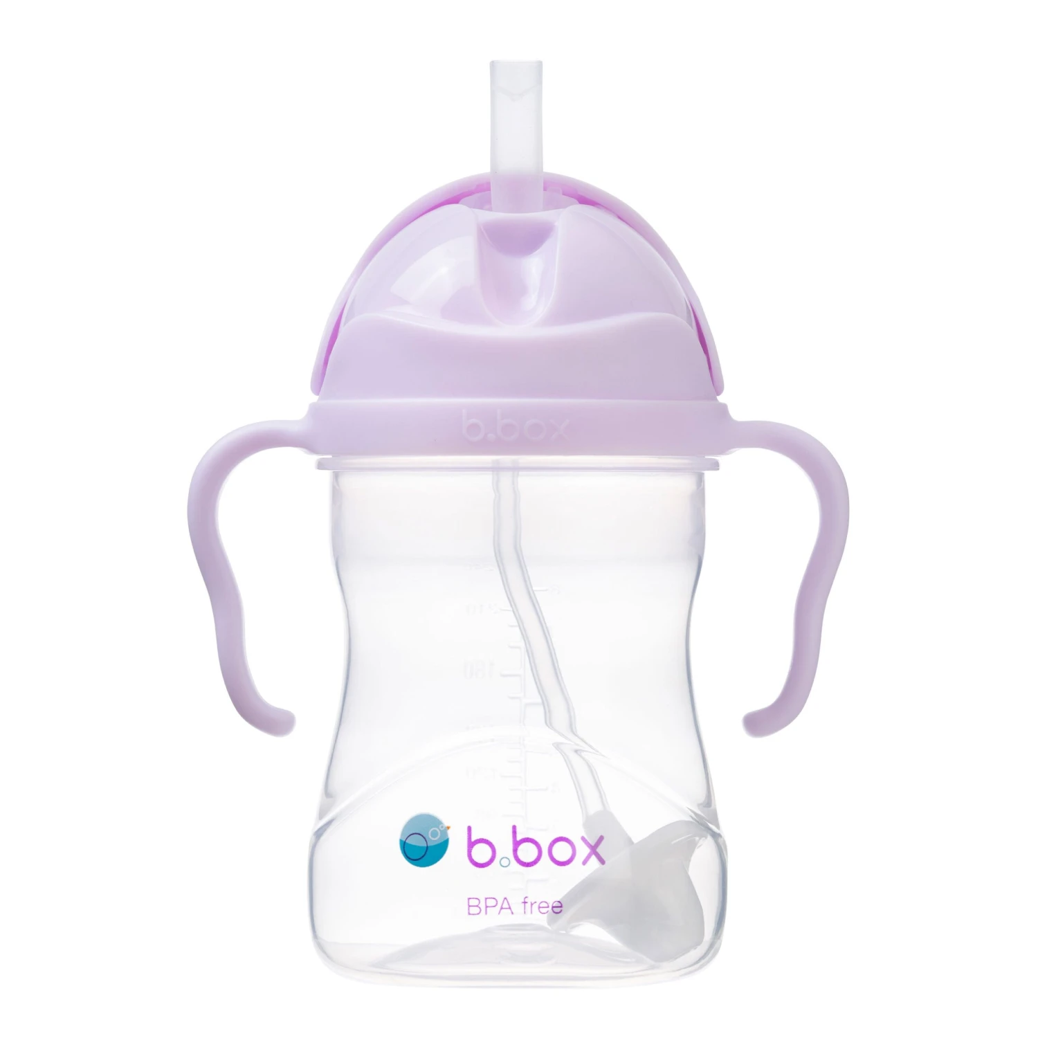 Sippy Cup - Boysenberry 7 Sippy Cup - Boysenberry - Image 7