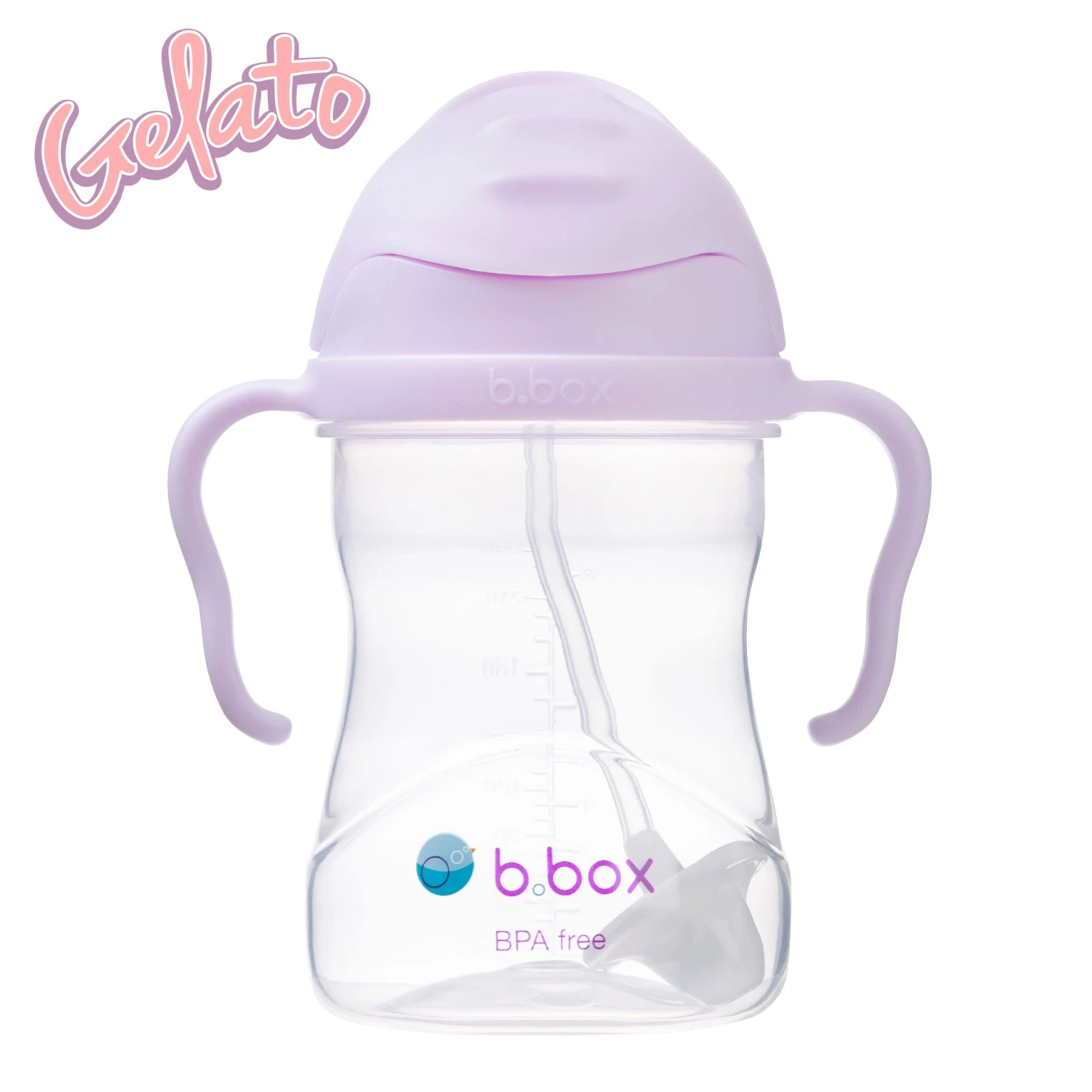 Sippy Cup - Boysenberry 1 Sippy Cup - Boysenberry