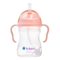 Sippy Cup - Tutti Frutti -METRO BABY SHOP 521 tutti frutti sippy cup 02