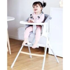 Beaba Up & Down Highchair VARIOUS COLOURS -METRO BABY SHOP 912598 6 1024x1024 0c1ea22c 6fd5 42e8 b521 088e4ad41f1e