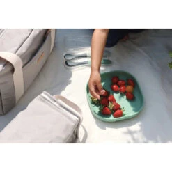 Beaba 1st Age Silicone Spoons Two-tone Travel Set With Case - Mineral/Sage Green -METRO BABY SHOP 913574 6 1024x1024 8e9ece19 f769 4dc0 9964 d9d6c6843a28