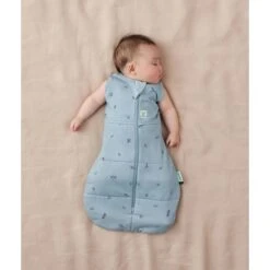 Cocoon Swaddle Bag 2.5 TOG 24 Cocoon Swaddle Bag 2.5 TOG -METRO BABY SHOP Cocoon 2.5T Dragonflies ArmsOut 1688x2000 5032b325 1294 43ff 9338 8bb6348259e1