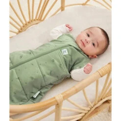 Cocoon Swaddle Bag 2.5 TOG 29 Cocoon Swaddle Bag 2.5 TOG -METRO BABY SHOP Cocoon 2.5T Willow Bassinet ArmsOut 1688x2000 fbc34d9d 6e55 4f56 9678 b55525922fdf