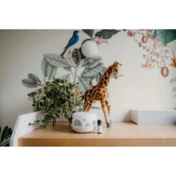 Glow Sleep Easy -METRO BABY SHOP NP102325 1024x a400010d b9d0 4fd8 b0e5 ac5f40548256