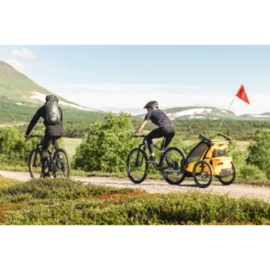 Thule Chariot Sport Bike Trailer -METRO BABY SHOP ScreenShot2022 08 22at21.32.05