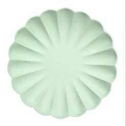 Meri-Meri Multicolor Simply Eco Large Plates -METRO BABY SHOP ScreenShot2023 09 14at16.05.29