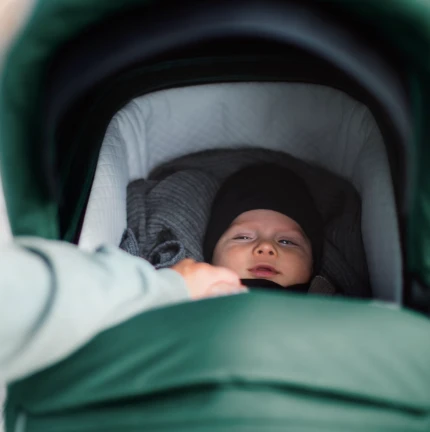 Thule Sleek Pram Bassinet VARIOUS COLOURS 10 Thule Sleek Pram Bassinet VARIOUS COLOURS - Image 10