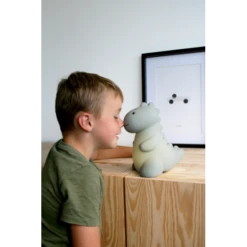 Jeroom Dino Night Light VARIOUS COLOURS -METRO BABY SHOP Screenshot2024 12 11at21.45.08